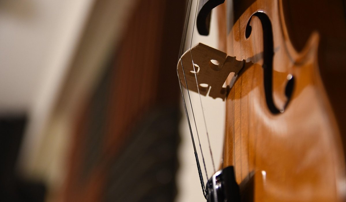 Musicality in Salsa: Dancing to Accents and Breaks